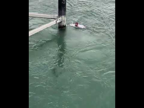 Super saut dans le Rhin