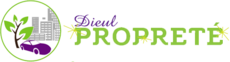 DIEUL PROPRETÉ - Nettoyage Automobiles
