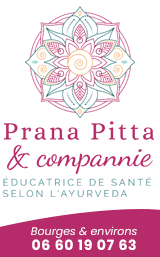 Prana Pitta & compannie Bourges 2024