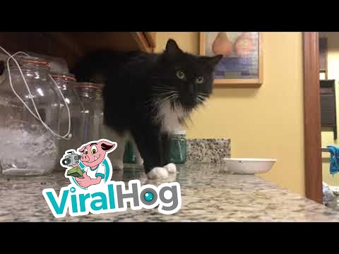 Videos Videos